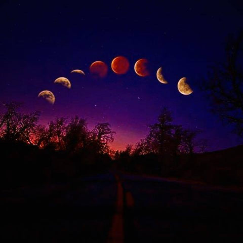 MOONWISE: Moon Lovers Stories from Moonglow