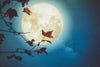 How to Style Full Moon Jewelry Year Round