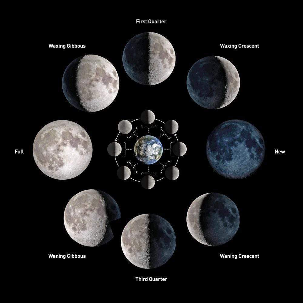 New Moon Spring Easy Moon 1,300+ New Moon Illustration Stock Illustrations,