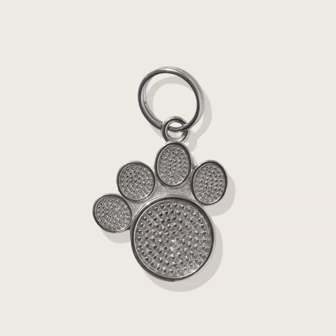 Moonglow Pet Tag in Stainless Steel