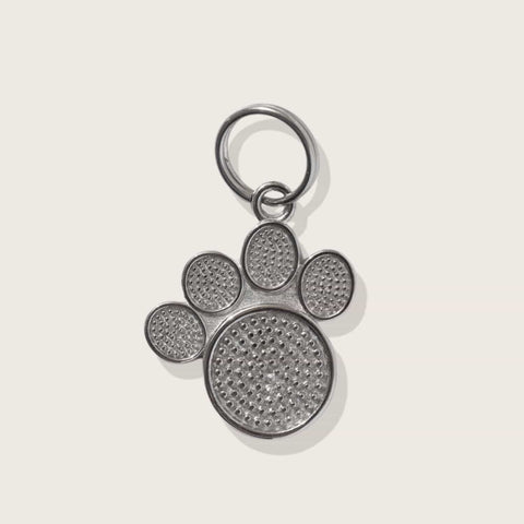  Moonglow Pet Tag in Stainless Steel