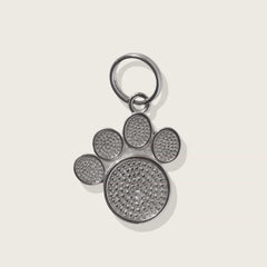 Moonglow Pet Tag in Stainless Steel