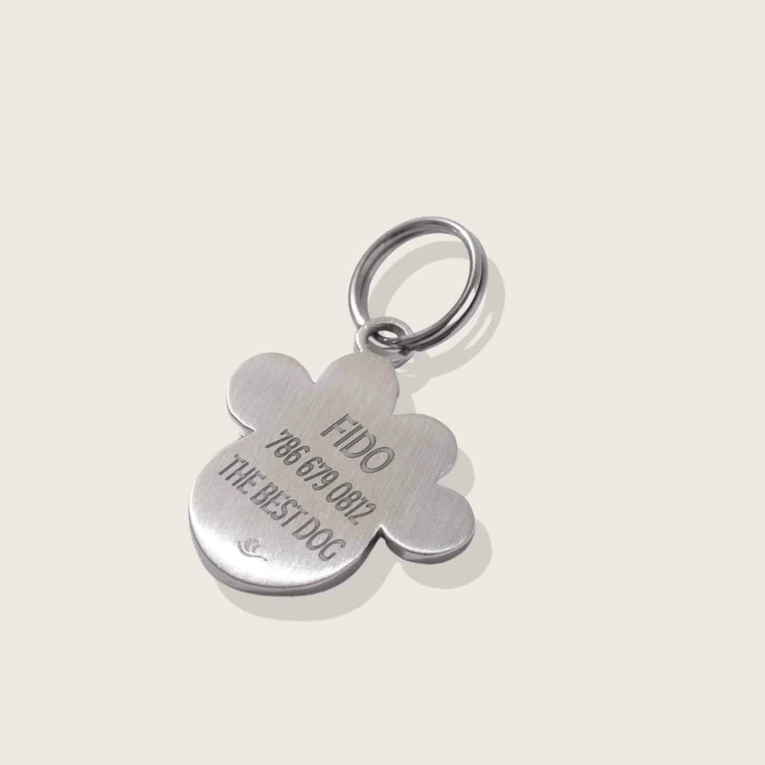Moonglow Pet Tag in Stainless Steel
